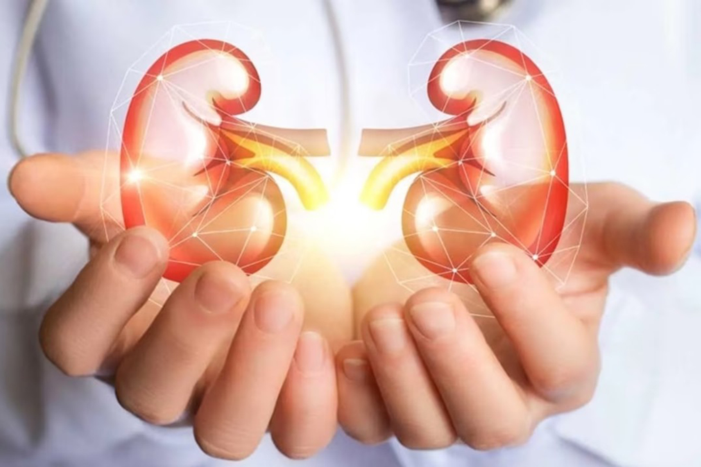 Kidney Health and Importance of Lifestyle Changes